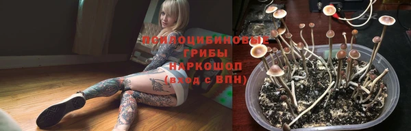 крисы Слюдянка