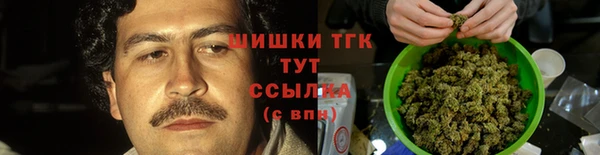 индика Снежинск