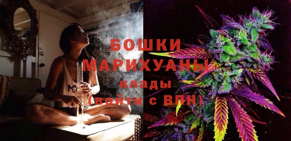 индика Снежинск