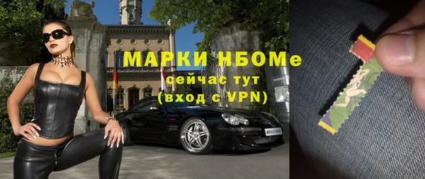 крисы Слюдянка
