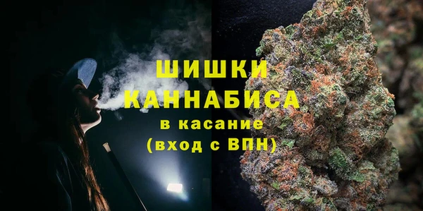 крисы Слюдянка