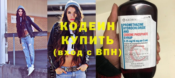 крисы Слюдянка