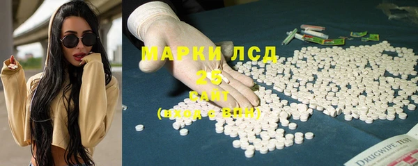 индика Снежинск