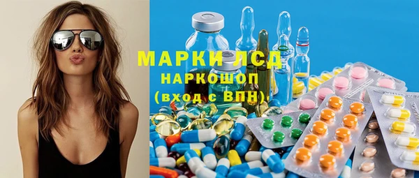 индика Снежинск