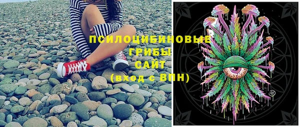 синтетический гашиш Снежногорск