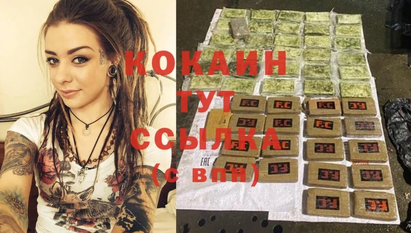 крисы Слюдянка