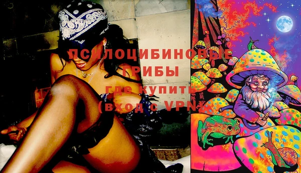 синтетический гашиш Снежногорск