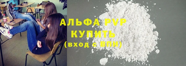 индика Снежинск