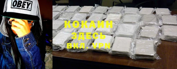 крисы Слюдянка