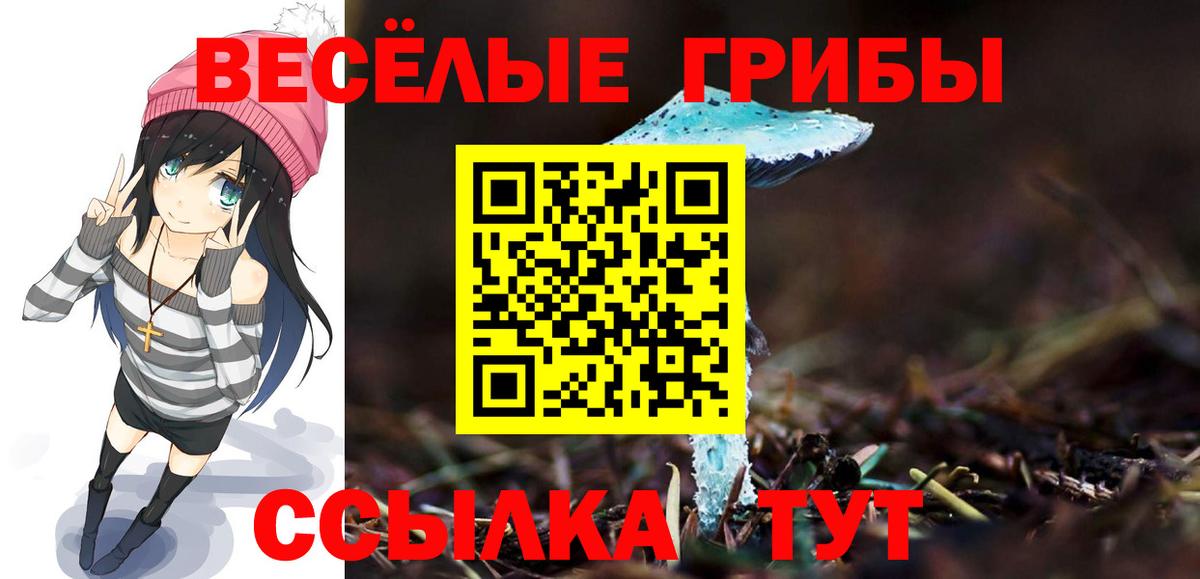 Галлюциногенные грибы GOLDEN TEACHER  где купить наркоту  Сосновоборск 